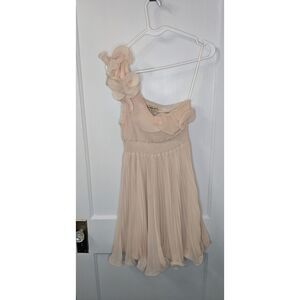 Double zero blush pleated vintage dress